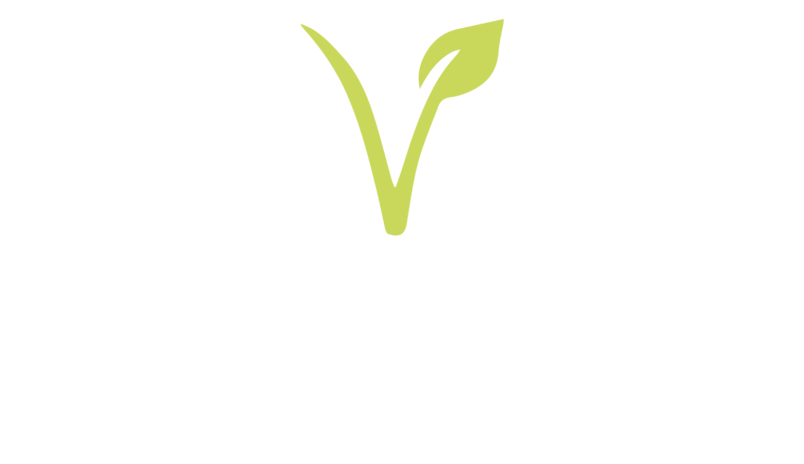 Vida Quantum