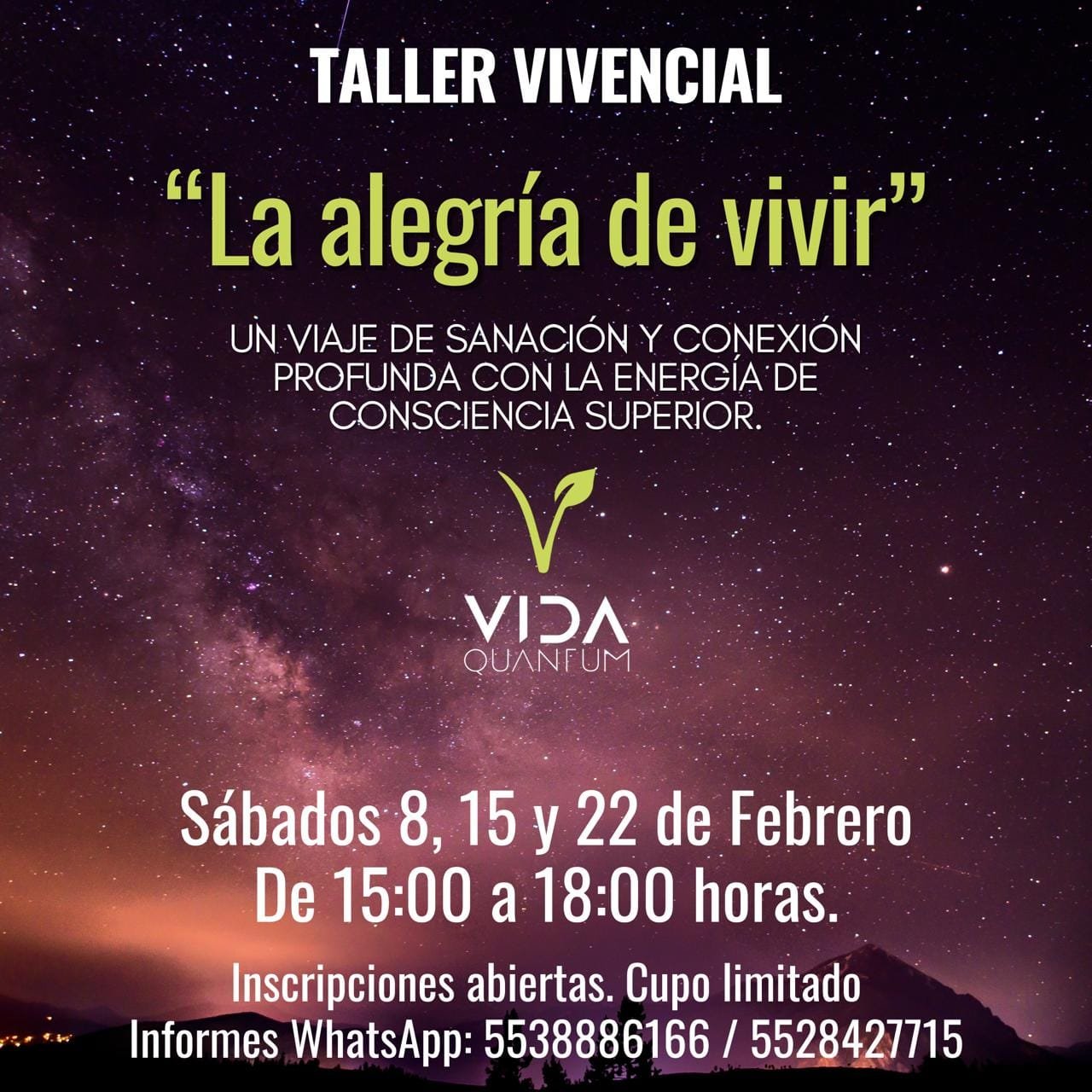 Taller vivencial