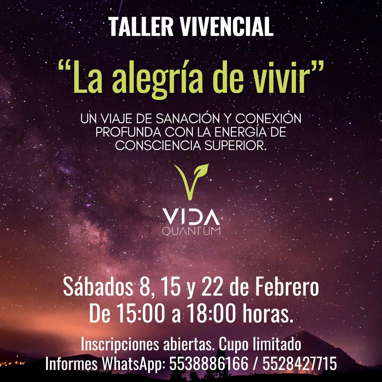 Taller vivencial